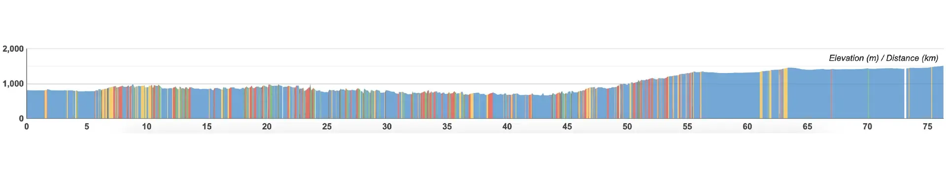 day4.webp
